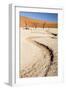 Dried Mud Pan with Ancient Camelthorn Trees and Orange Sand Dunes in the Distance-Lee Frost-Framed Photographic Print