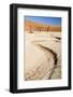 Dried Mud Pan with Ancient Camelthorn Trees and Orange Sand Dunes in the Distance-Lee Frost-Framed Photographic Print