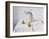 Dried Narcissi with Two Pears-Arthur Easton-Framed Art Print