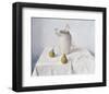 Dried Narcissi with Two Pears-Arthur Easton-Framed Premium Giclee Print