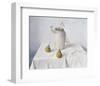 Dried Narcissi with Two Pears-Arthur Easton-Framed Premium Giclee Print