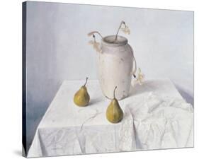 Dried Narcissi with Two Pears-Arthur Easton-Stretched Canvas