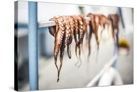 Dried octopus, Ermioni, Peloponnese, Greece-Matthew Williams-Ellis-Stretched Canvas