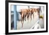 Dried octopus, Ermioni, Peloponnese, Greece-Matthew Williams-Ellis-Framed Photographic Print