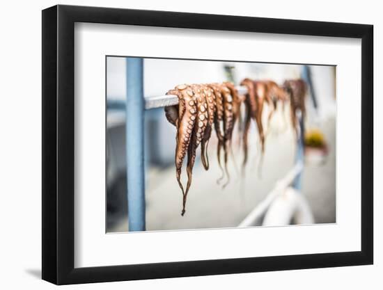 Dried octopus, Ermioni, Peloponnese, Greece-Matthew Williams-Ellis-Framed Photographic Print