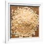 Dried Onion Flakes-Steve Gadomski-Framed Photographic Print