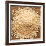 Dried Onion Flakes-Steve Gadomski-Framed Photographic Print