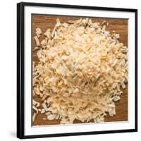 Dried Onion Flakes-Steve Gadomski-Framed Photographic Print