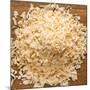 Dried Onion Flakes-Steve Gadomski-Mounted Photographic Print