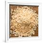 Dried Onion Flakes-Steve Gadomski-Framed Photographic Print