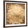 Dried Onion Flakes-Steve Gadomski-Framed Photographic Print