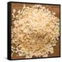 Dried Onion Flakes-Steve Gadomski-Framed Stretched Canvas