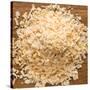 Dried Onion Flakes-Steve Gadomski-Stretched Canvas