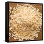 Dried Onion Flakes-Steve Gadomski-Framed Stretched Canvas