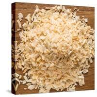 Dried Onion Flakes-Steve Gadomski-Stretched Canvas