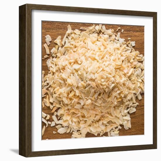 Dried Onion Flakes-Steve Gadomski-Framed Photographic Print