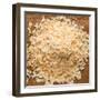 Dried Onion Flakes-Steve Gadomski-Framed Photographic Print