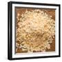 Dried Onion Flakes-Steve Gadomski-Framed Photographic Print