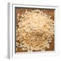 Dried Onion Flakes-Steve Gadomski-Framed Photographic Print