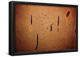 Dried Paint on a Rusted Door-null-Framed Poster