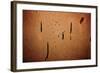 Dried Paint on a Rusted Door-null-Framed Photo