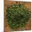 Dried Parsley-Steve Gadomski-Mounted Photographic Print