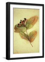 Dried Plant-Den Reader-Framed Premium Photographic Print