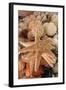 Dried Sea Stars Sold as Souvenirs. Zihuatanejo, Mexico-Julien McRoberts-Framed Photographic Print