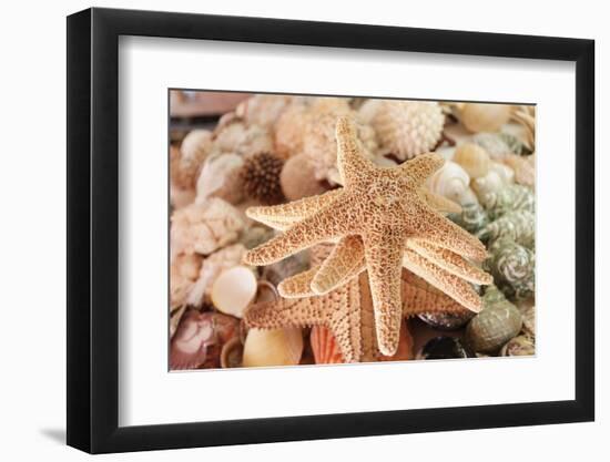 Dried Sea Stars Sold as Souvenirs. Zihuatanejo, Mexico-Julien McRoberts-Framed Photographic Print