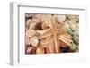 Dried Sea Stars Sold as Souvenirs. Zihuatanejo, Mexico-Julien McRoberts-Framed Photographic Print