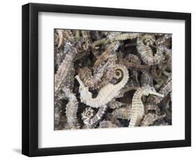 Dried Seahorses for Sale in Seafood Shop, Chinatown, Singapore, South East Asia-Amanda Hall-Framed Photographic Print