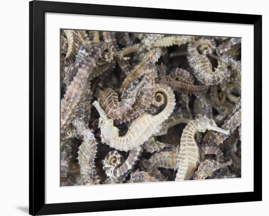 Dried Seahorses for Sale in Seafood Shop, Chinatown, Singapore, South East Asia-Amanda Hall-Framed Photographic Print