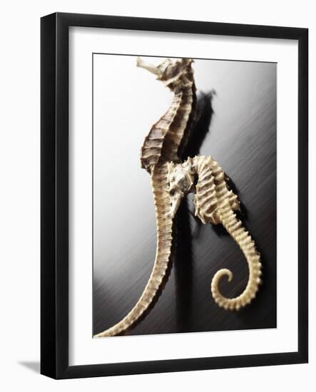 Dried Seahorses-Ken Seet-Framed Photographic Print