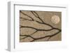 Dried seaweed and limpet shell on beach, Northumberland, England-Phil McLean-Framed Photographic Print