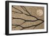 Dried seaweed and limpet shell on beach, Northumberland, England-Phil McLean-Framed Photographic Print