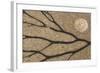 Dried seaweed and limpet shell on beach, Northumberland, England-Phil McLean-Framed Photographic Print