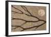 Dried seaweed and limpet shell on beach, Northumberland, England-Phil McLean-Framed Photographic Print