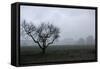 Dried Tree Vanish Into The Winter Fog-holbox-Framed Stretched Canvas