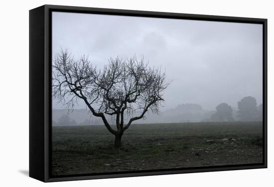 Dried Tree Vanish Into The Winter Fog-holbox-Framed Stretched Canvas