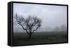 Dried Tree Vanish Into The Winter Fog-holbox-Framed Stretched Canvas