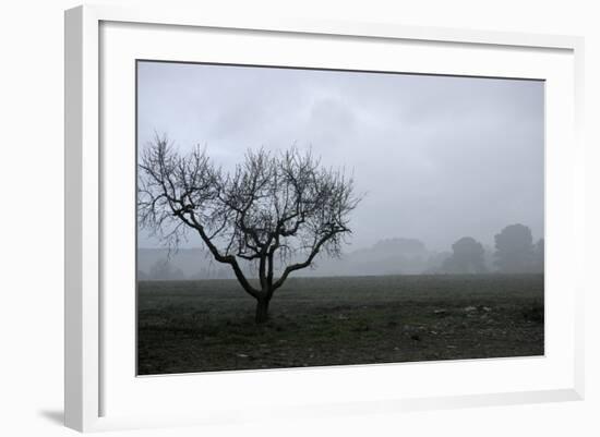 Dried Tree Vanish Into The Winter Fog-holbox-Framed Photographic Print