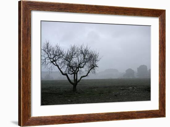 Dried Tree Vanish Into The Winter Fog-holbox-Framed Photographic Print