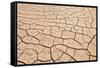 Dried Up and Cracked River, Gila Bend, Arizona, USA-Jaynes Gallery-Framed Stretched Canvas