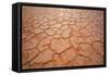 Dried-Up Earth the Hot Sun in the Simpson Desert-null-Framed Stretched Canvas