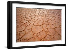 Dried-Up Earth the Hot Sun in the Simpson Desert-null-Framed Photographic Print