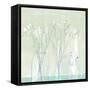 Dried Vase II-null-Framed Stretched Canvas