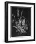 Dried Weeds-Rusty Frentner-Framed Giclee Print