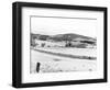 Drift Fence on Farmland-Marion Post Wolcott-Framed Photographic Print