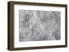 Drift wood pattern, Cape Onman, Chukchi Sea, Russia Far East-Keren Su-Framed Photographic Print