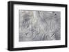 Drift wood pattern, Cape Onman, Chukchi Sea, Russia Far East-Keren Su-Framed Photographic Print